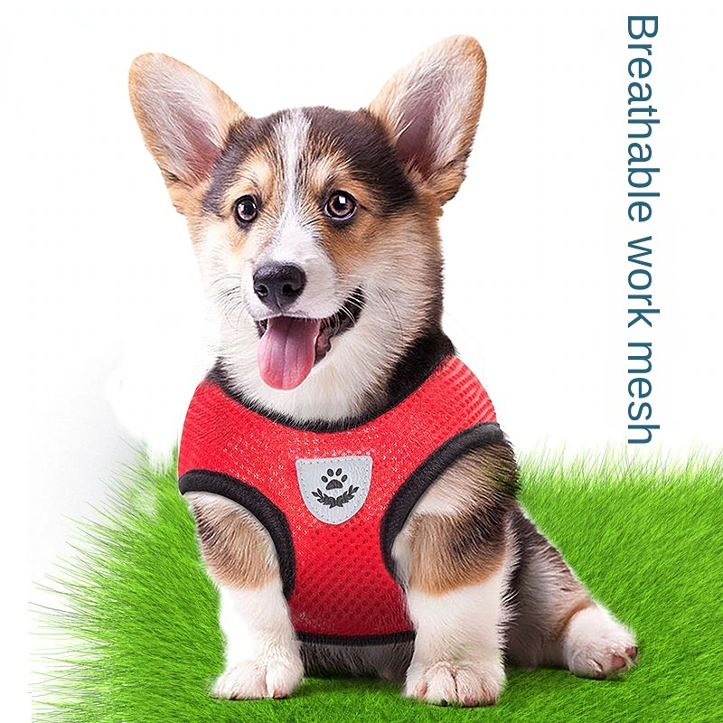 Cat Dog Pet Harness Adjustable Control Vest