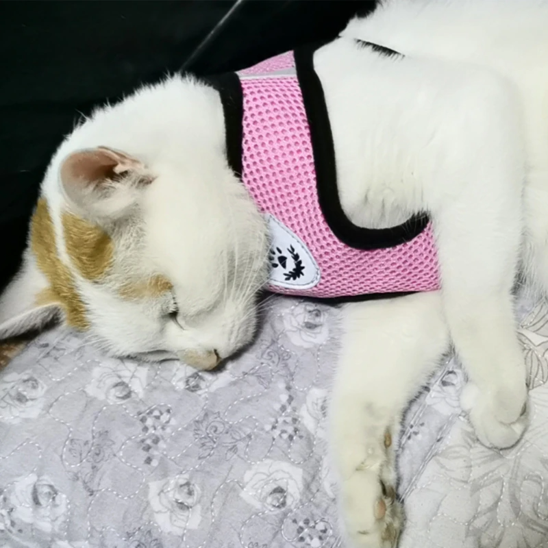 Cat Dog Pet Harness Adjustable Control Vest